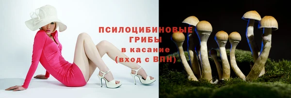 прущий лед Инта
