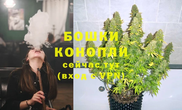 ПСИЛОЦИБИНОВЫЕ ГРИБЫ Иннополис