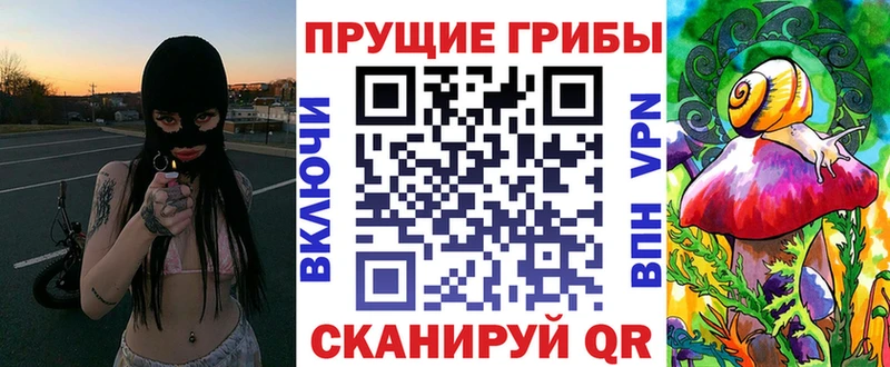 купить закладку  shop официальный сайт  Галлюциногенные грибы GOLDEN TEACHER  Елизаветинская 